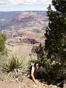 Grand Canyon (18)